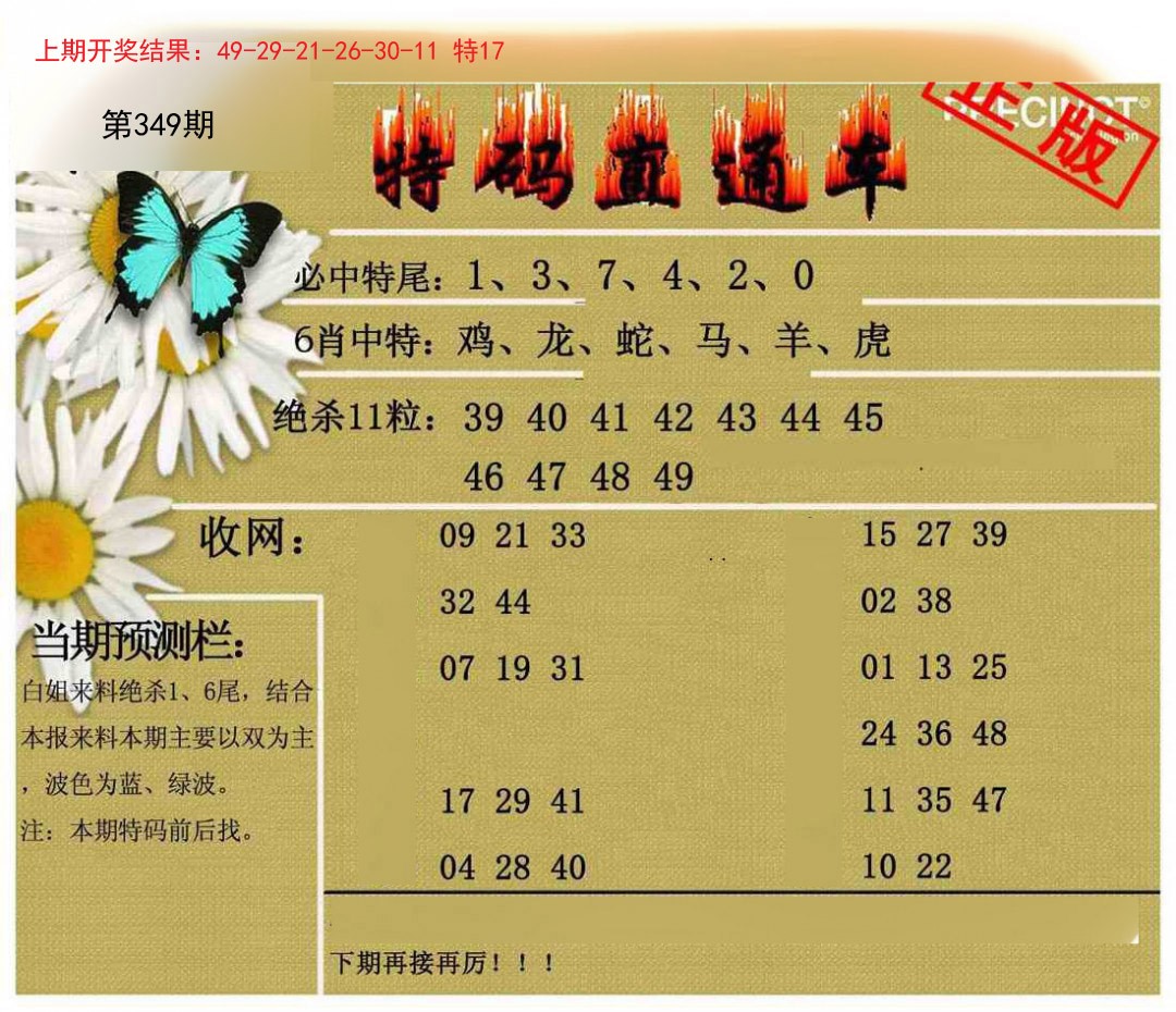 2024349期特码直通车
