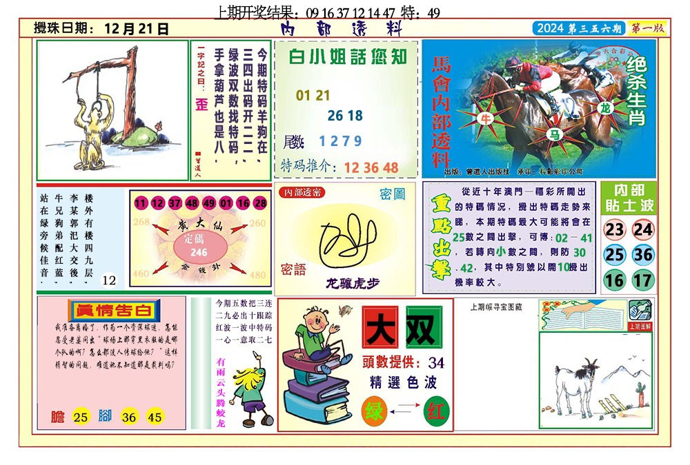 2024356期内部透料A