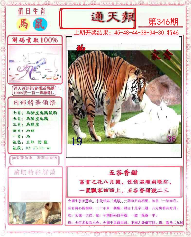 2024346期小喜通天报
