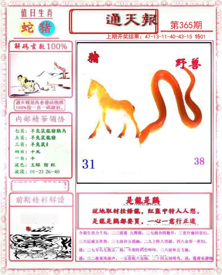 2024365期小喜通天报