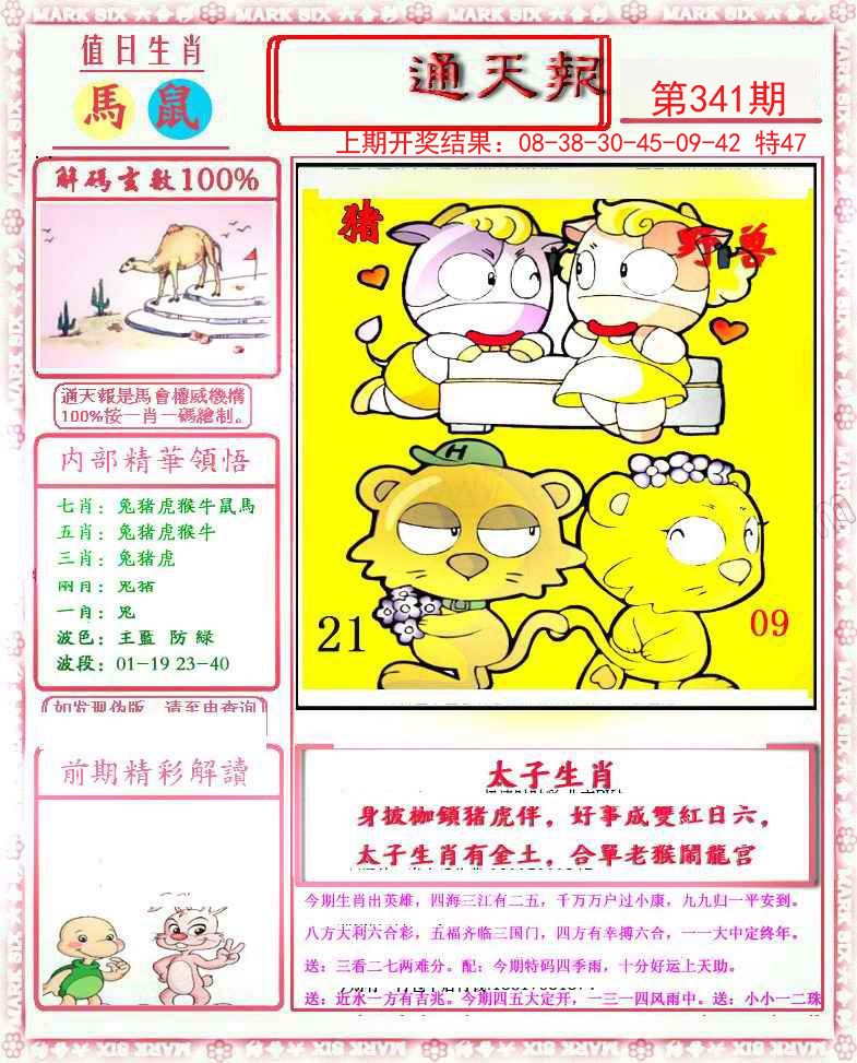 2024341期小喜通天报