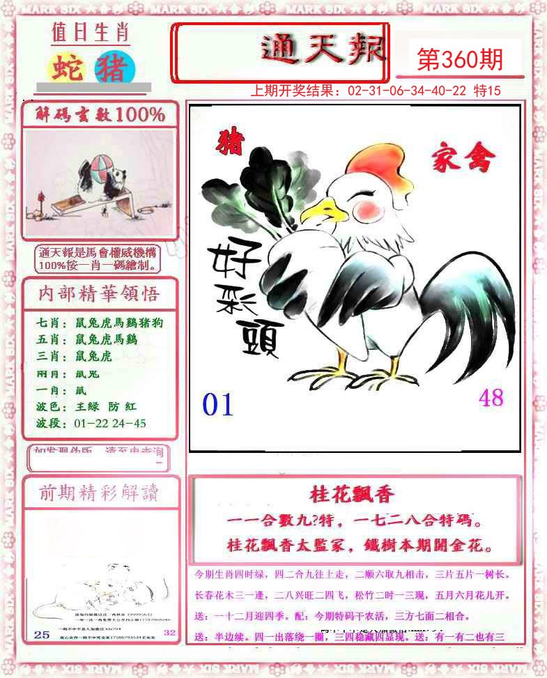 2024360期小喜通天报