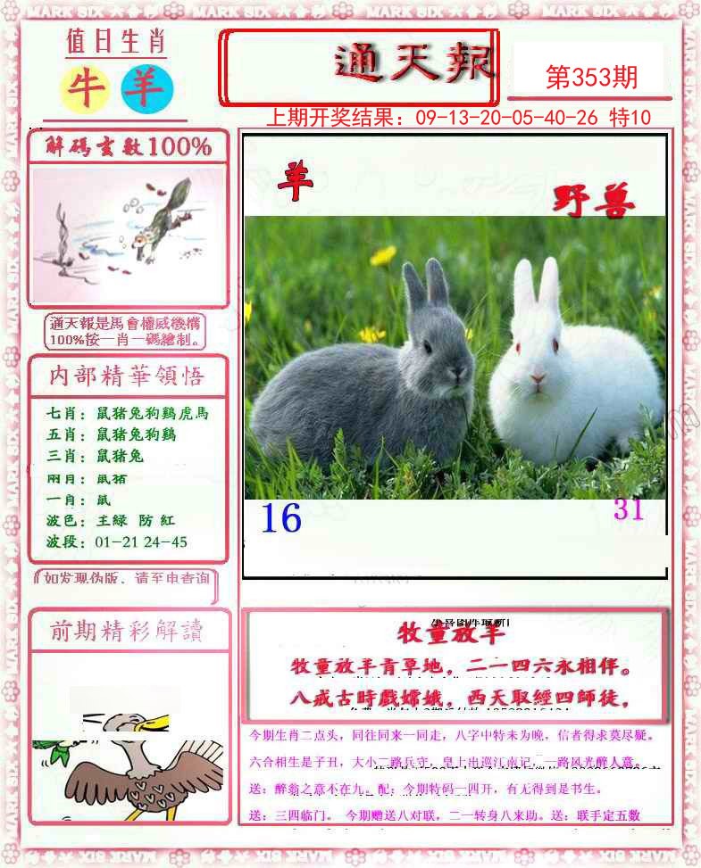 2024353期小喜通天报