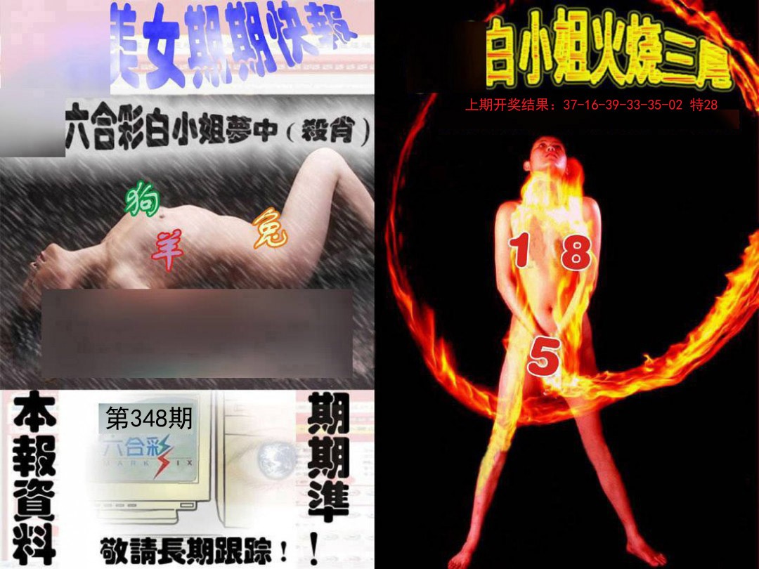 2024348期环球美女特码报