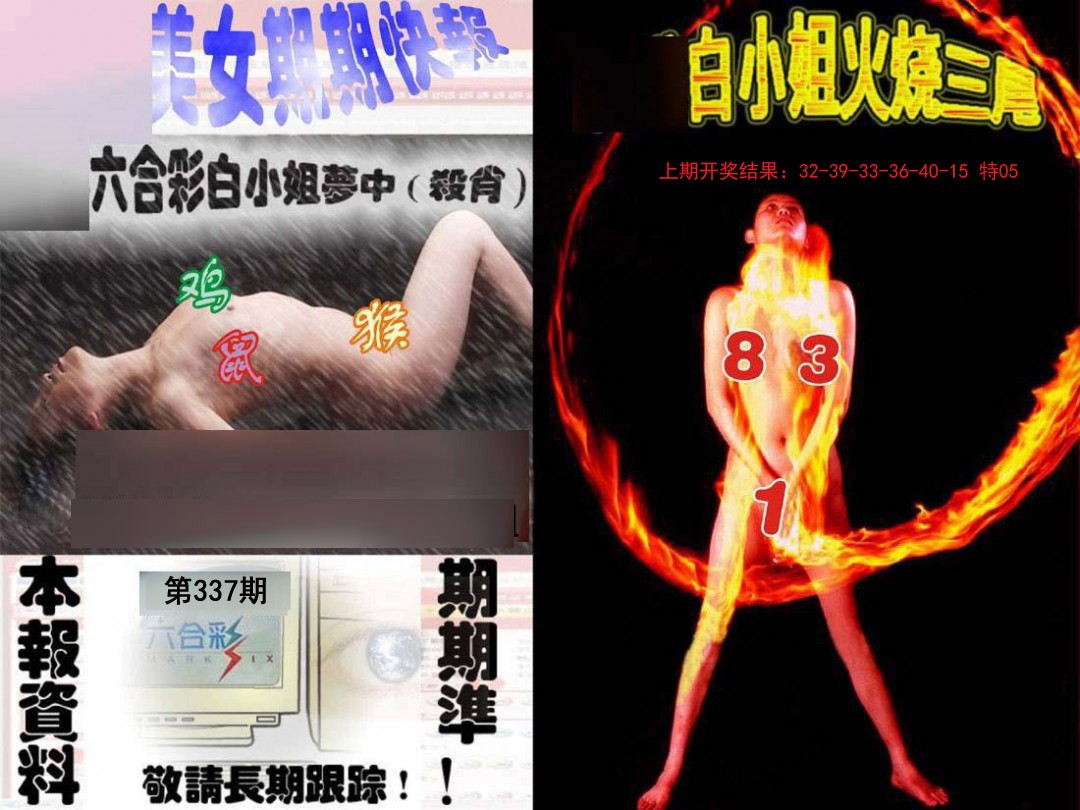 2024337期环球美女特码报