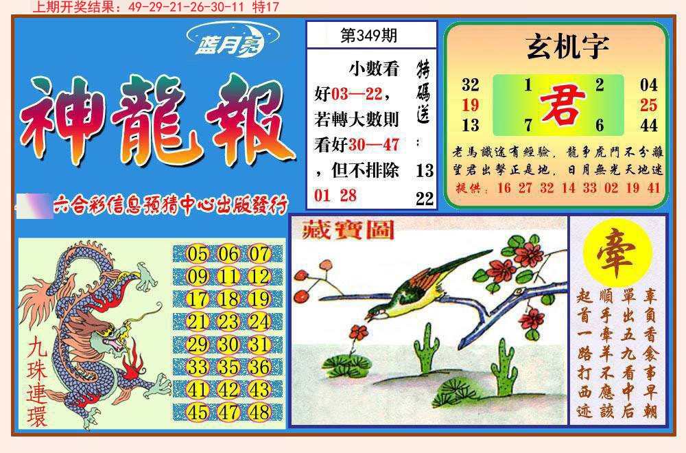 2024349期神龙报