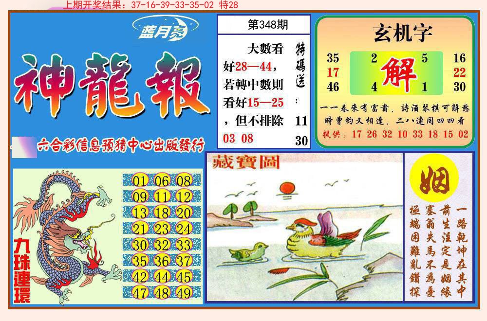 2024348期神龙报