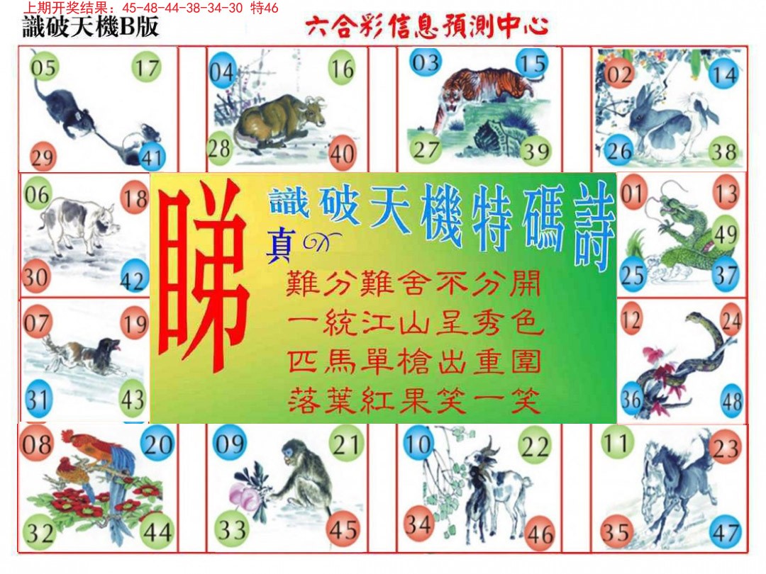 2024346期识破天机B版