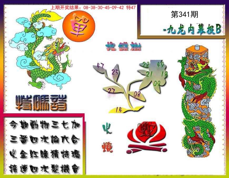 2024341期九龙内幕特肖图a