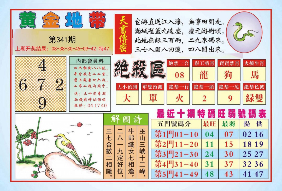 2024341期黄金地带
