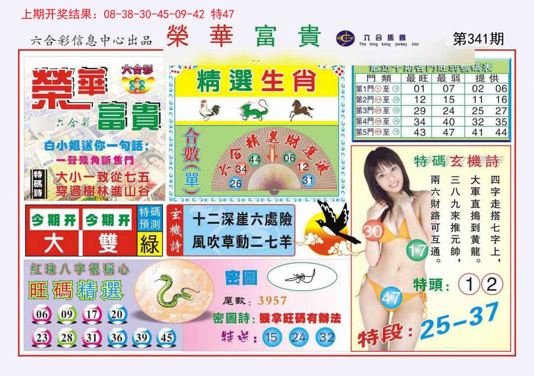 2024341期荣华富贵