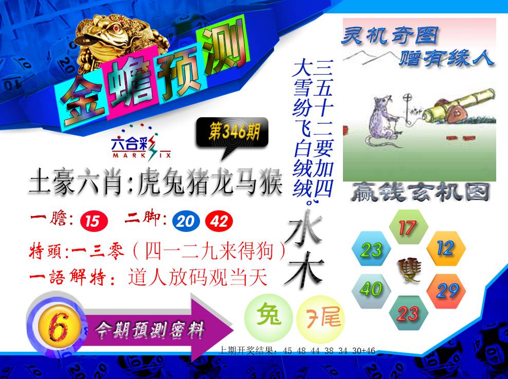2024346期金蟾预测