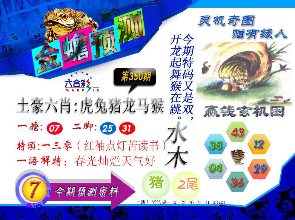 2024350期金蟾预测