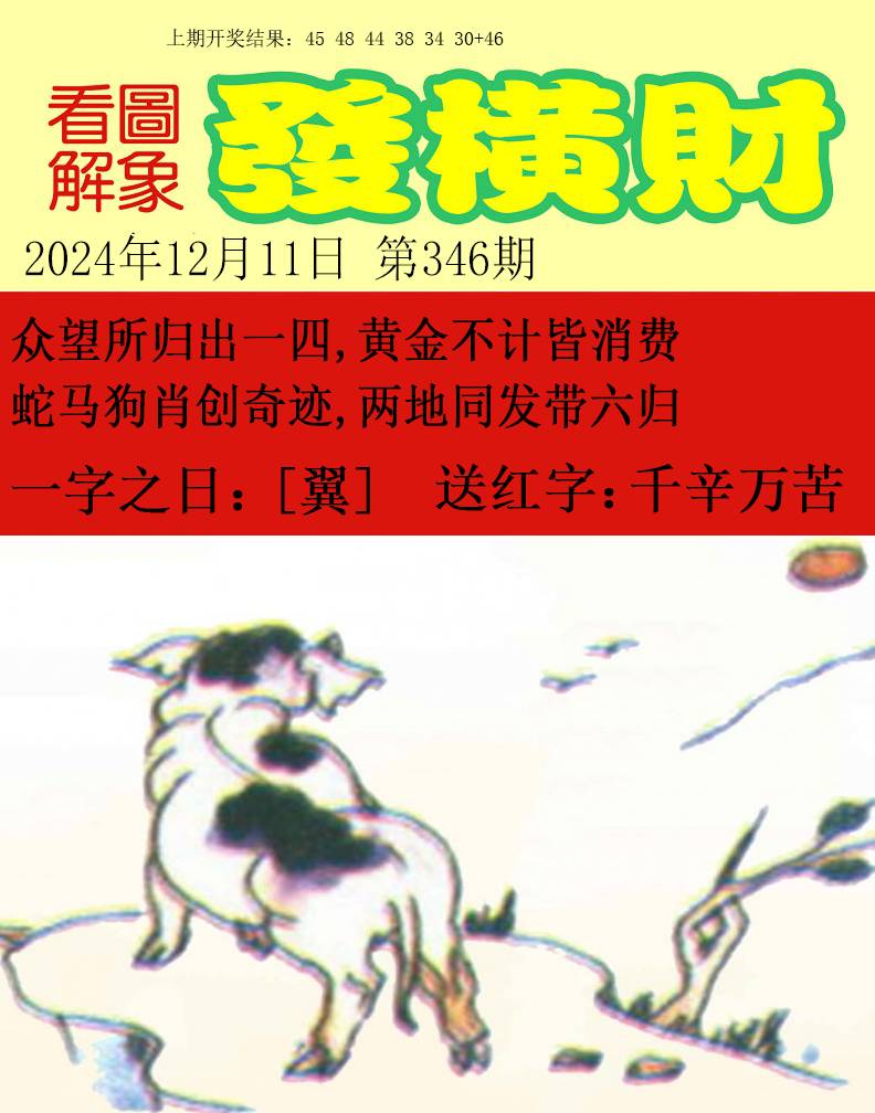 2024346期梦里寻码