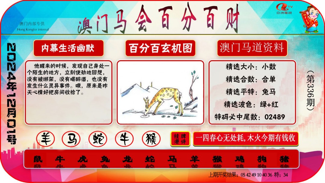 2024336期百分百财经