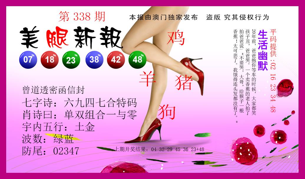 2024338期美腿新报