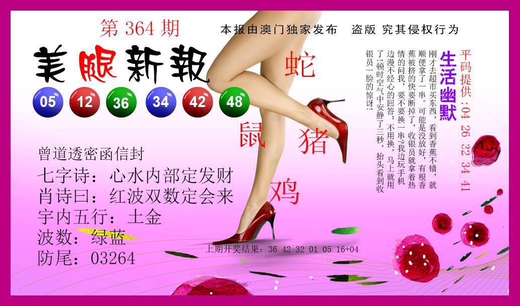 2024364期美腿新报