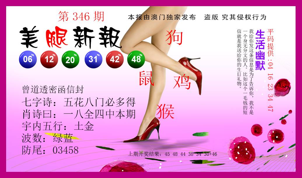 2024346期美腿新报