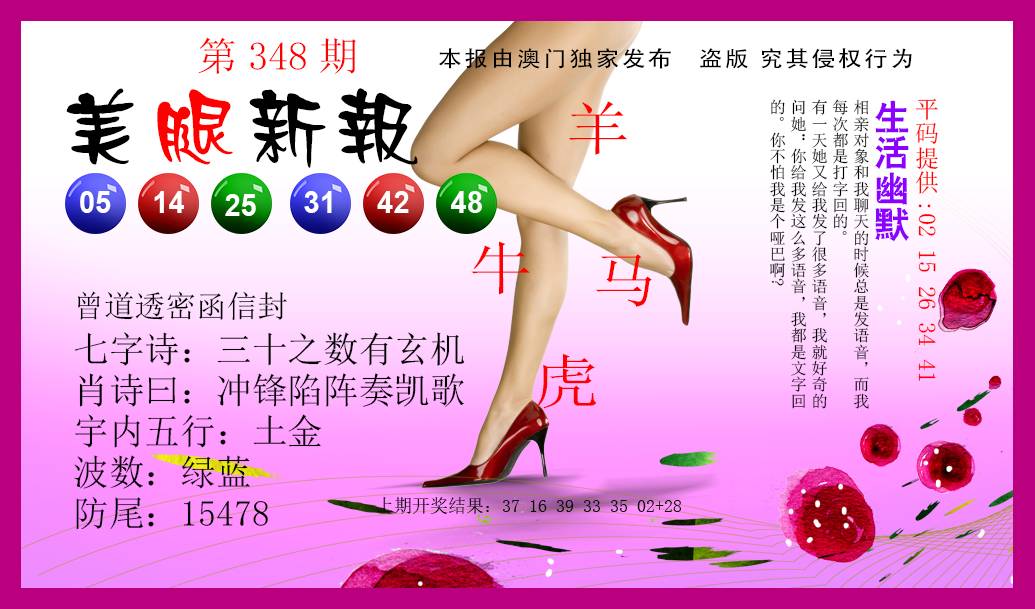 2024348期美腿新报