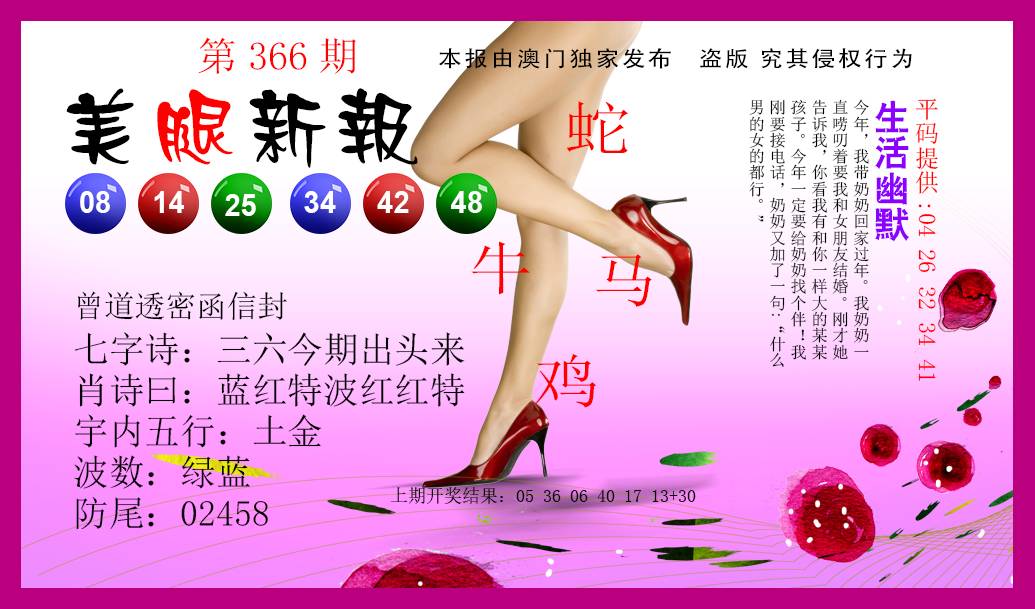 2024366期美腿新报