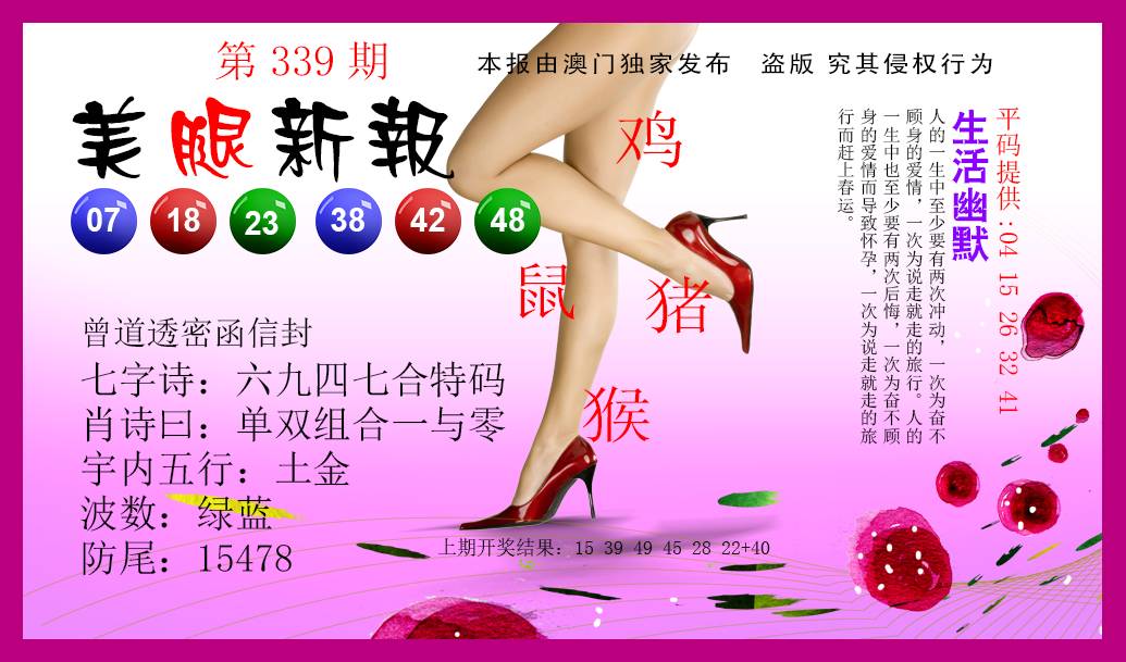 2024339期美腿新报