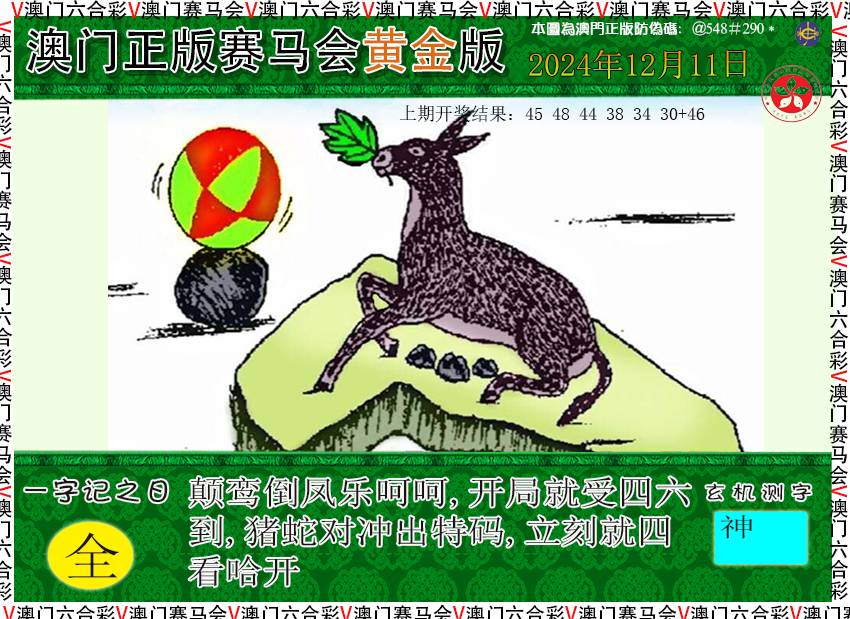 2024346期赛马会黄金版