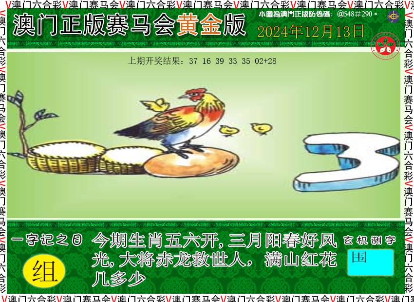 2024348期赛马会黄金版