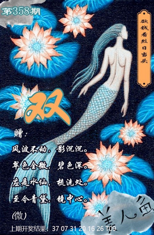 2024358期美人鱼单双中特图