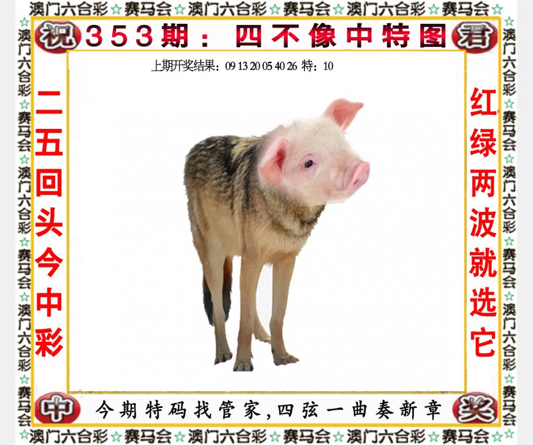 2024353期四不像中特图
