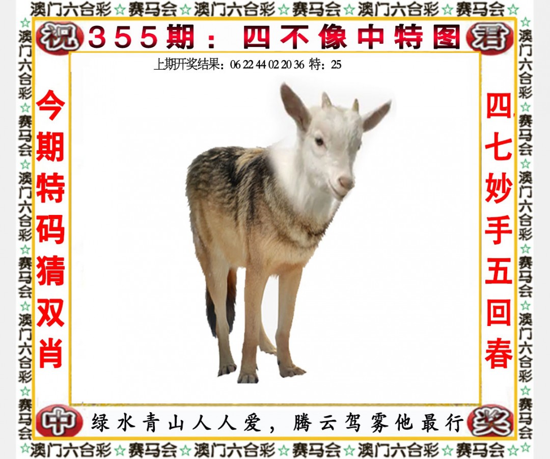 2024355期四不像中特图