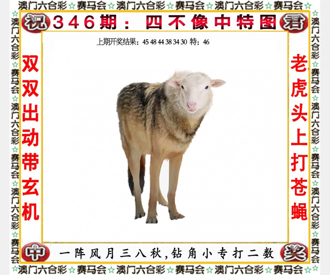 2024346期四不像中特图