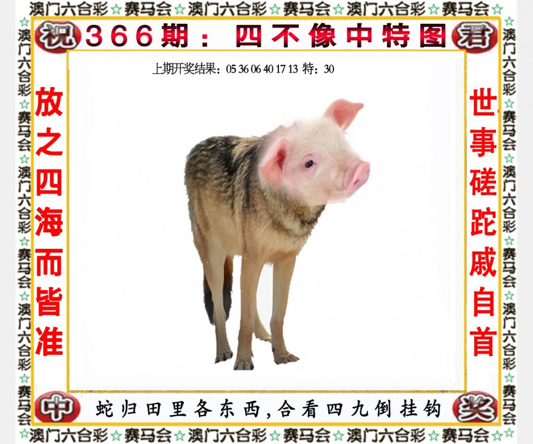 2024366期四不像中特图