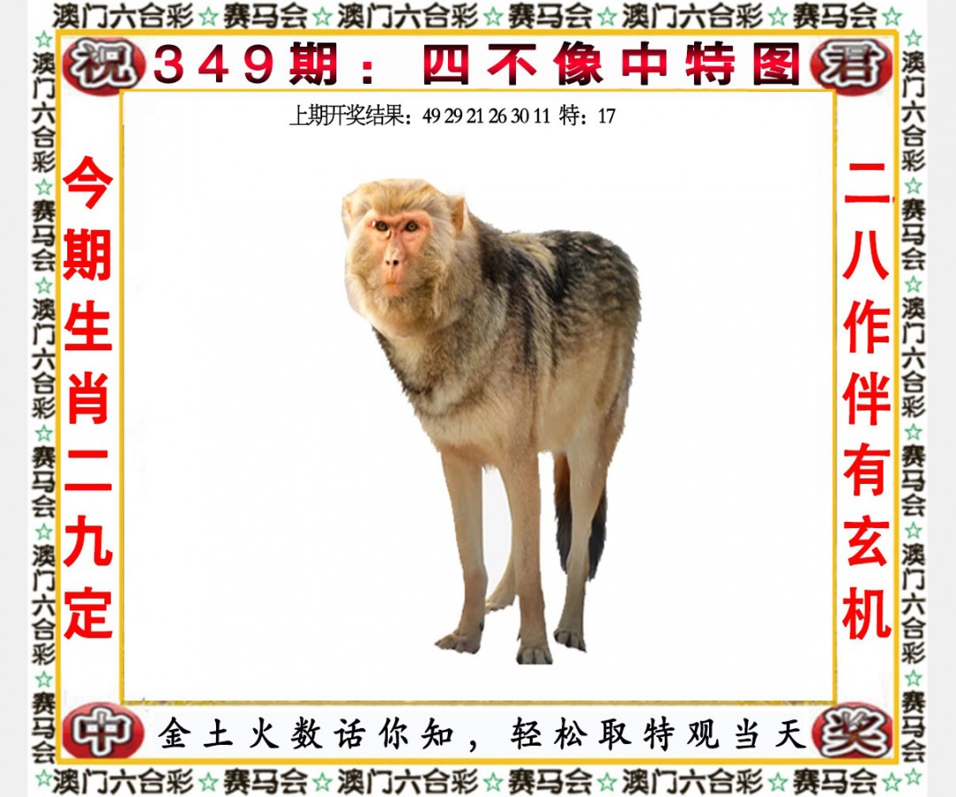 2024349期四不像中特图