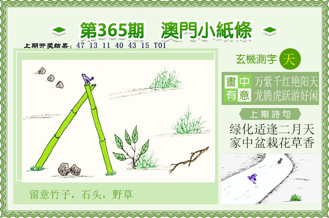 2024365期澳门小纸条