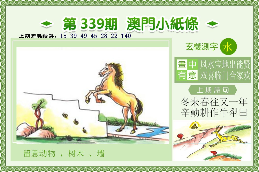 2024339期澳门小纸条