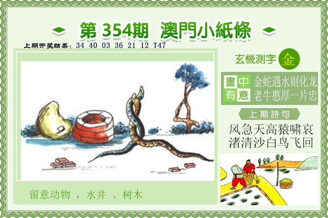 2024354期澳门小纸条