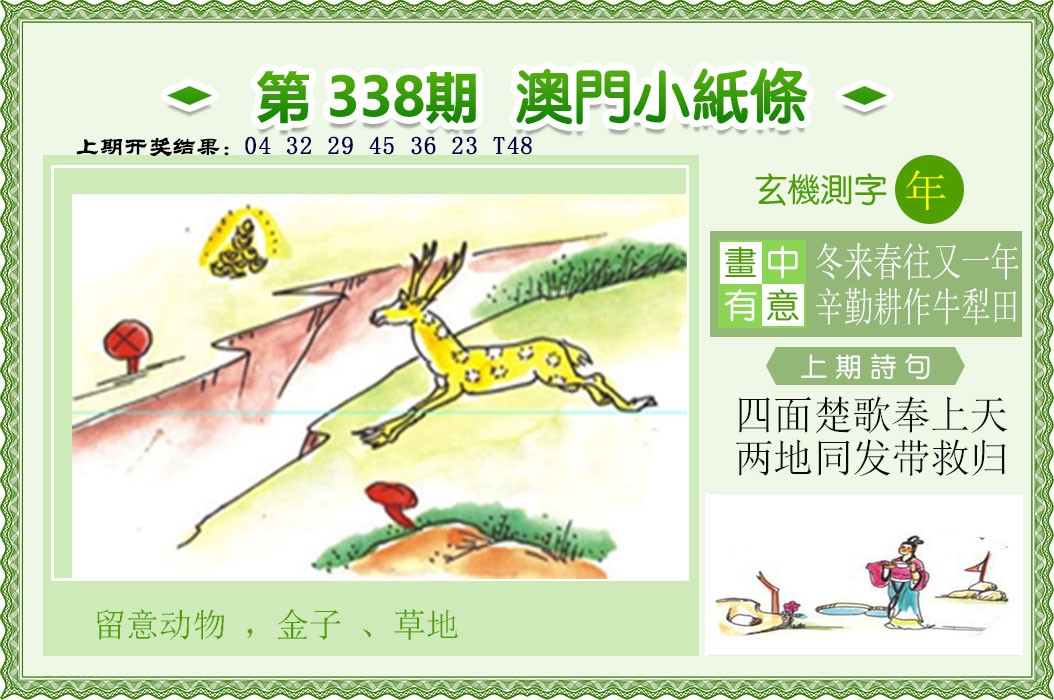 2024338期澳门小纸条