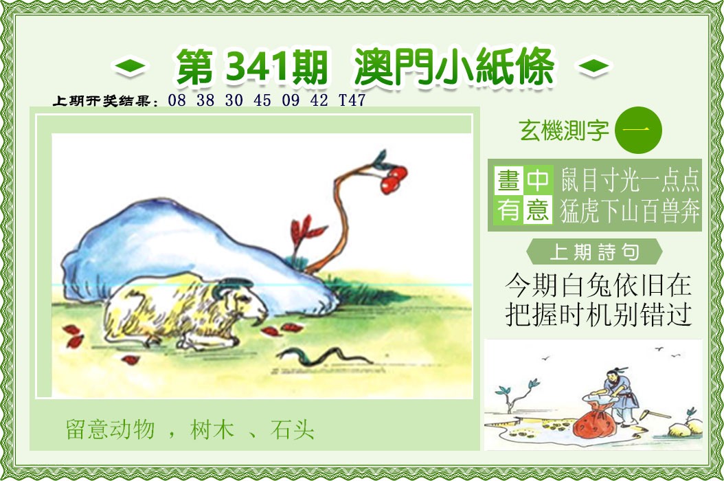 2024341期澳门小纸条