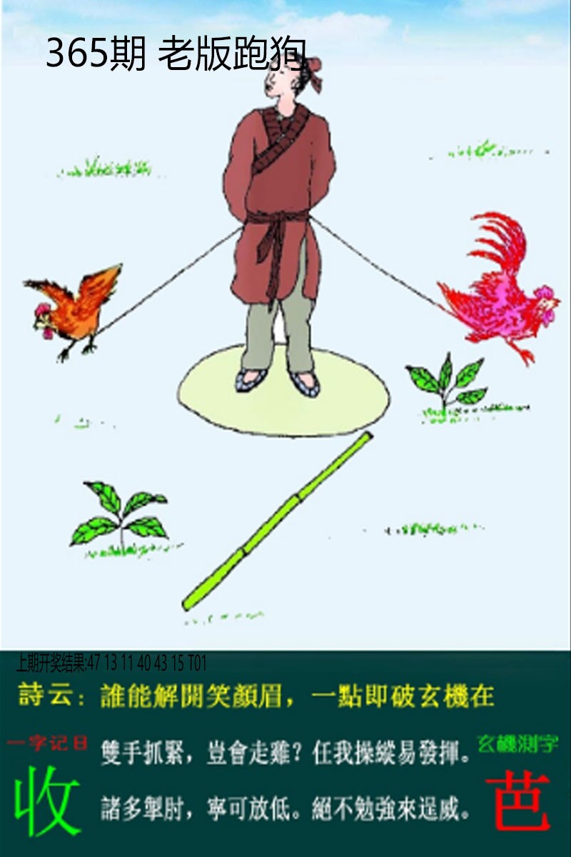 2024365期老板跑狗