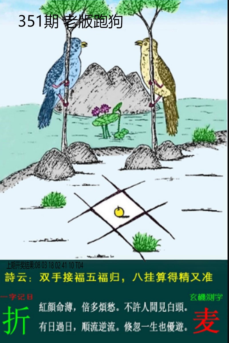 2024351期老板跑狗