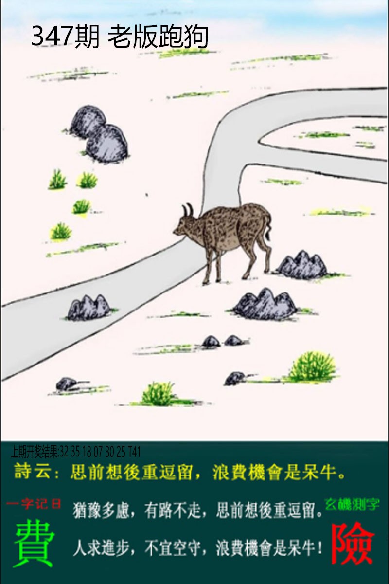2024347期老板跑狗