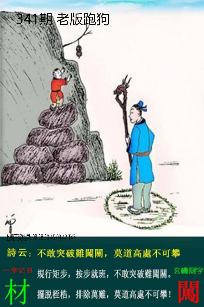 2024341期老板跑狗