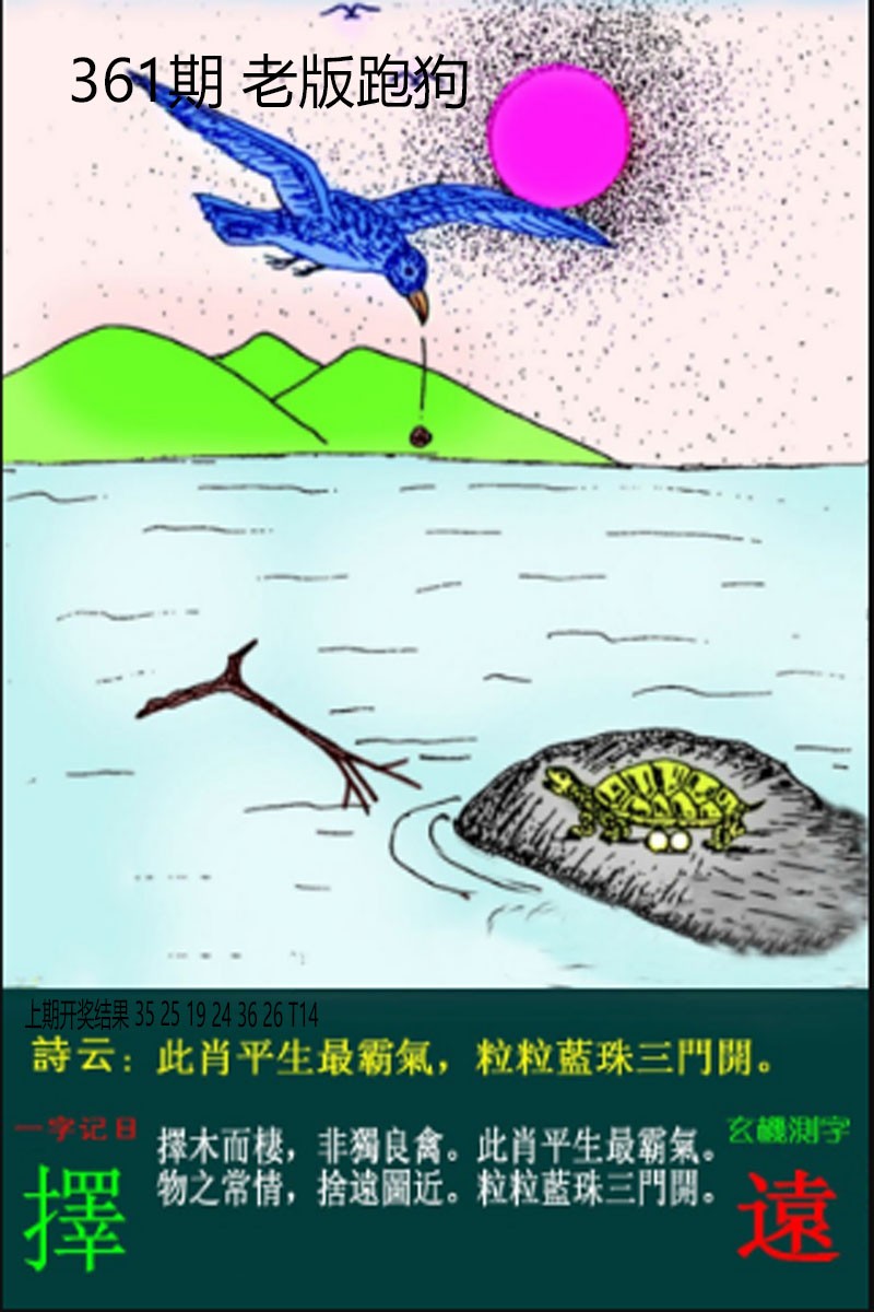 2024361期老板跑狗