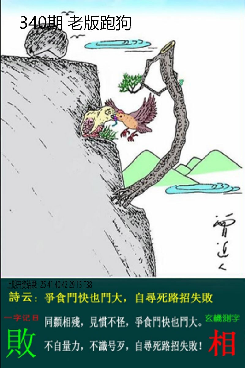 2024340期老板跑狗