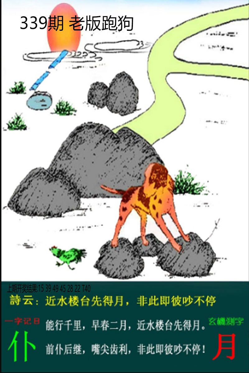 2024339期老板跑狗