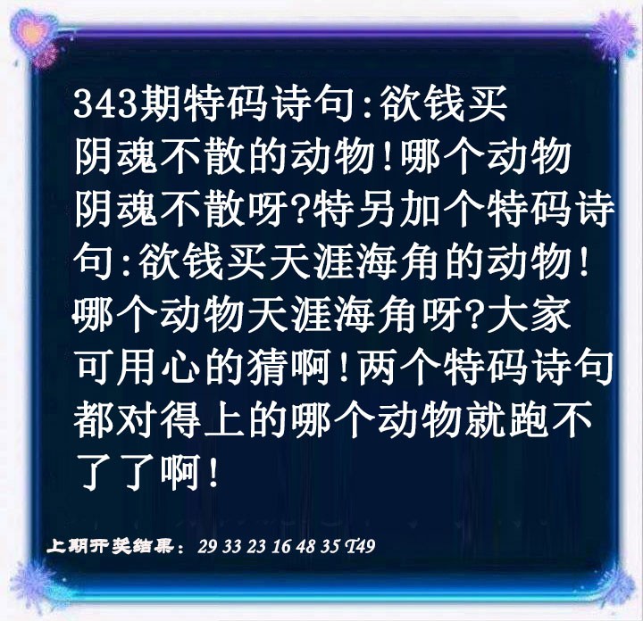 2024343期蓝色欲钱料