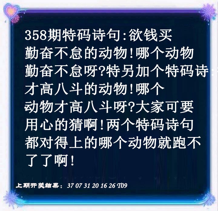 2024358期蓝色欲钱料