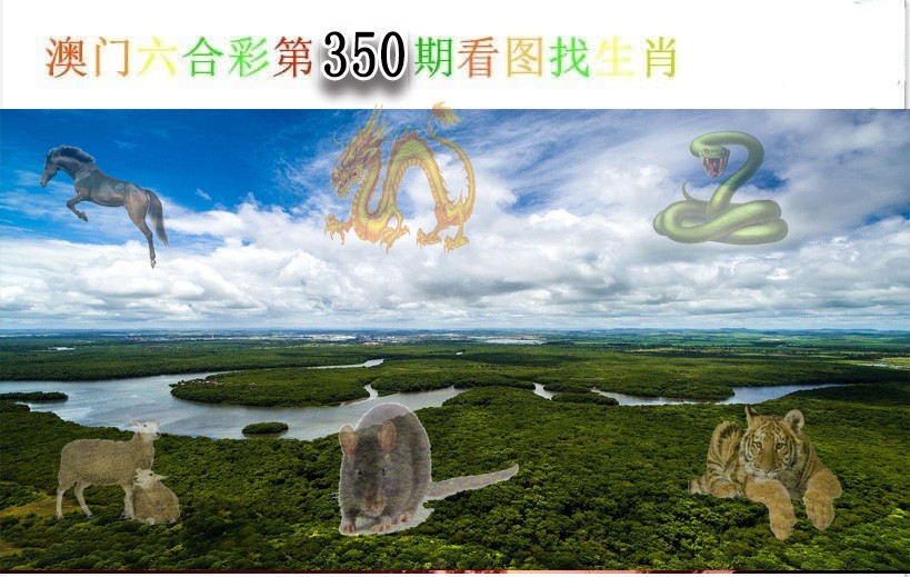 2024350期看图找生肖
