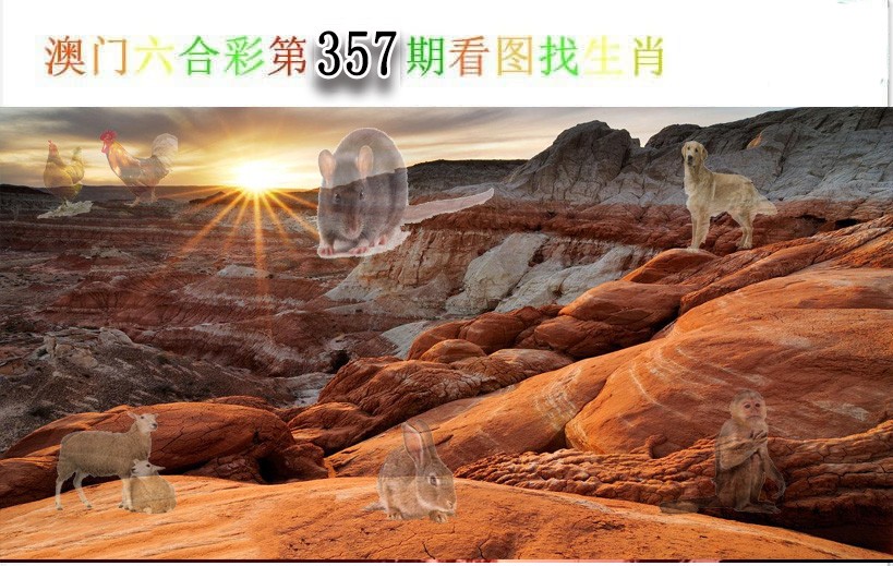 2024357期看图找生肖