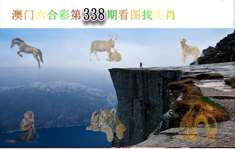 2024338期看图找生肖